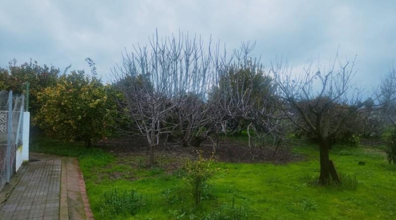 Cordova - Córdoba - 346m2
