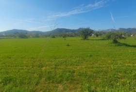 Binissalem 27490&nbsp;m² 