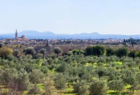 Binissalem 27490&nbsp;m² 