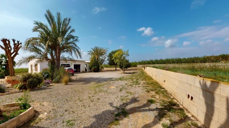 Alicante - Albatera - 250m2
