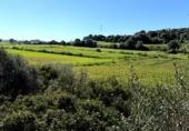 Land suitable for development for sale on Poligono 5, Sant Llorenç des Cardassar, ref: TR396419 photo