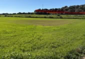 Land suitable for development for sale on Poligono 5, Sant Llorenç des Cardassar, ref: TR396419 photo