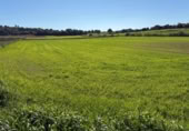 Land suitable for development for sale on Poligono 5, Sant Llorenç des Cardassar, ref: TR396419 photo