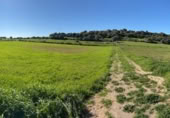 Land suitable for development for sale on Poligono 5, Sant Llorenç des Cardassar, ref: TR396419 photo