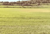 Land suitable for development for sale on Poligono 5, Sant Llorenç des Cardassar, ref: TR396419 photo