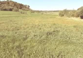 Land suitable for development for sale on Poligono 5, Sant Llorenç des Cardassar, ref: TR396419 photo