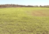 Land suitable for development for sale on Poligono 5, Sant Llorenç des Cardassar, ref: TR396419 photo