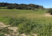 Land suitable for development for sale on Poligono 5, Sant Llorenç des Cardassar, ref: TR396419 photo