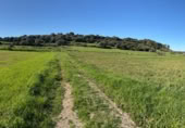 Land suitable for development for sale on Poligono 5, Sant Llorenç des Cardassar, ref: TR396419 photo