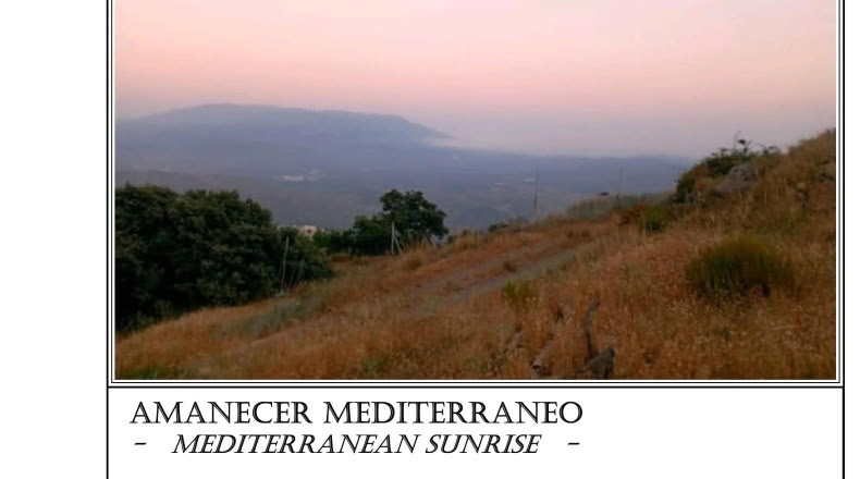 Valencia - Corral del Colero-Serra Perenxisa - 77051m2