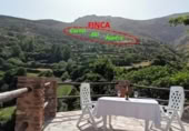 Country house with land for sale on Corral del Álamo s/n, Granada, ref: TR329805 photo