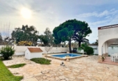 Chalet independiente con terreno en venta en la España, Amposta, ref: TR397055 foto