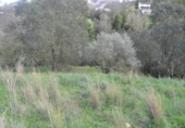 Terreno no urbanizable en venta en la España, Alhaurín el Grande, ref: TR396577 foto