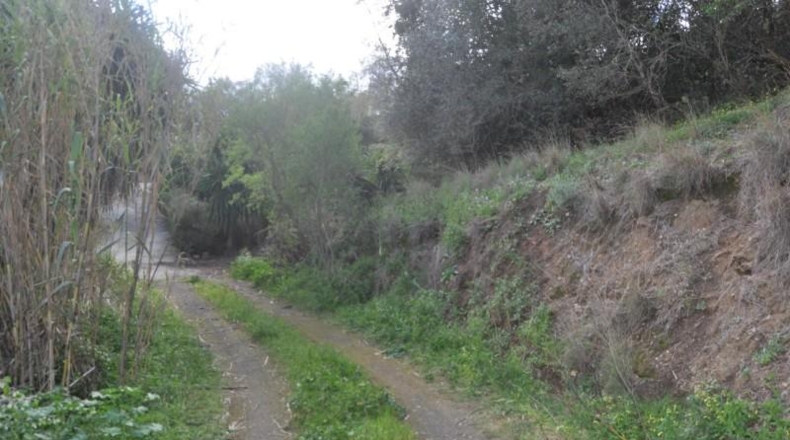 Málaga - Alhaurín el Grande - 22950m2