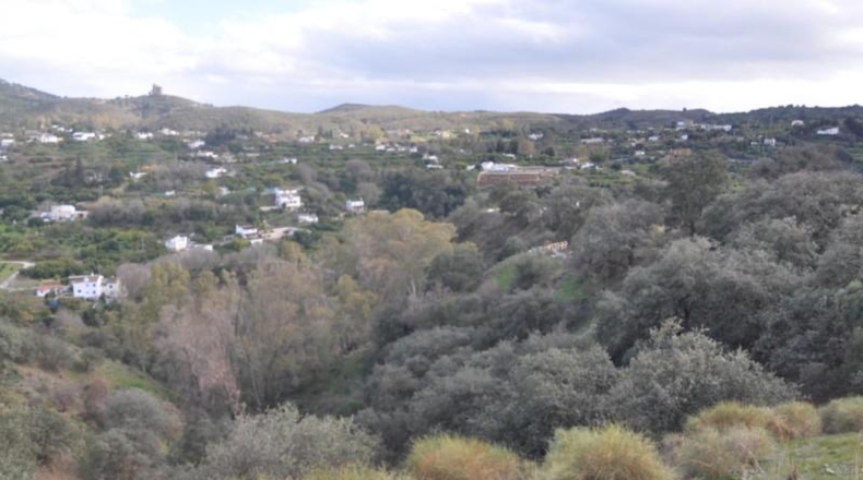 Málaga - Alhaurín el Grande - 22950m2