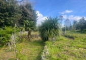 Chalet independiente con terreno en venta en Zas ref: TR396511 foto