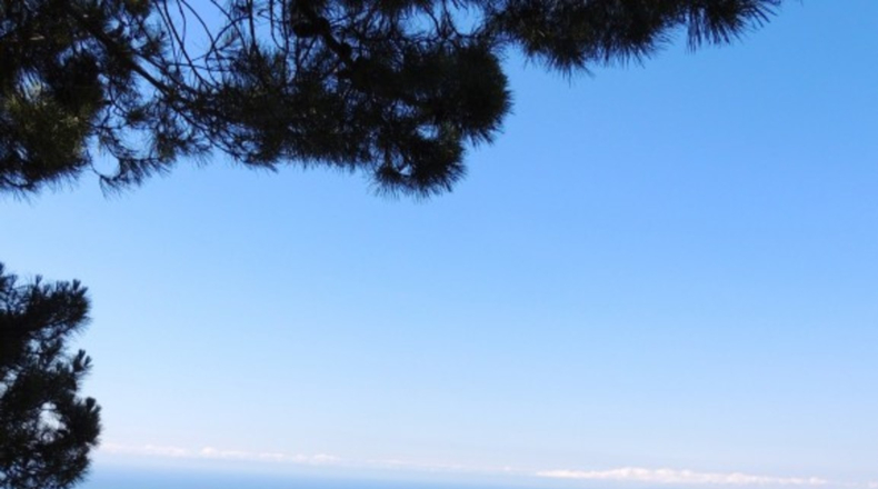 Málaga - Benahavís - 11215m2