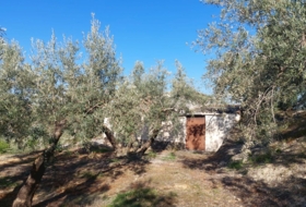 Quesada 33&nbsp;m² 