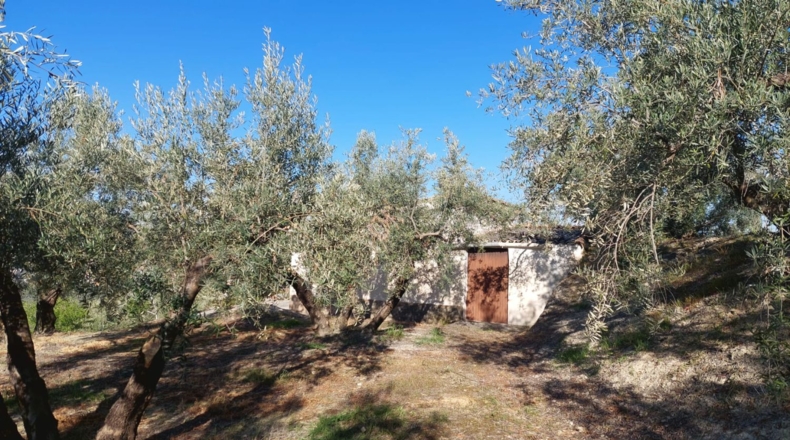 Jaén - Quesada - 33m2