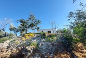 Quesada 33&nbsp;m² 