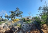 Terreno no urbanizable en venta en Quesada ref: TR396503 foto