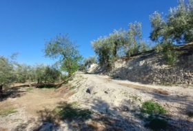 Quesada 33&nbsp;m² 