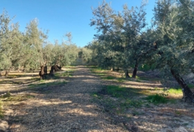 Quesada 33&nbsp;m² 