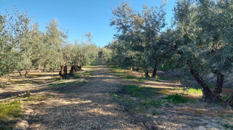 Jaén - Quesada - 33m2