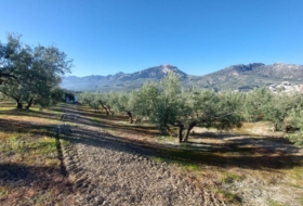 Quesada 33&nbsp;m² 