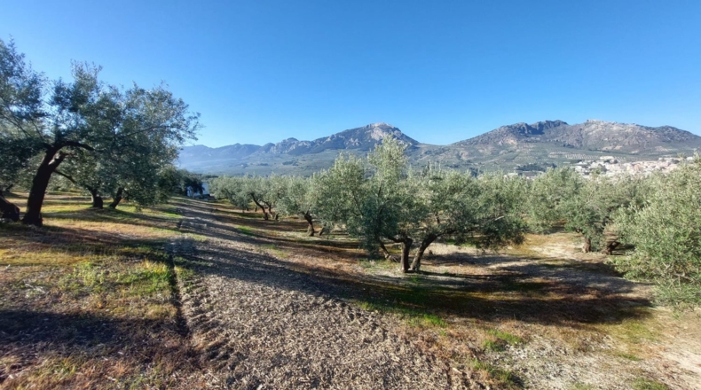 Jaén - Quesada - 33m2