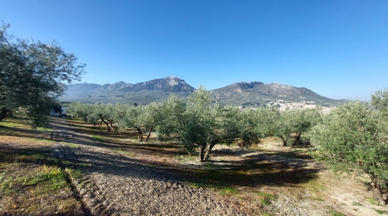Jaén - Quesada - 33m2