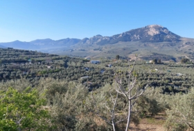 Quesada 33&nbsp;m² 