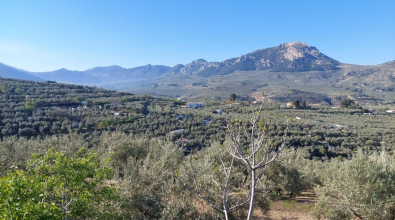 Jaén - Quesada - 33m2