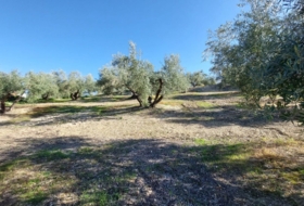 Quesada 33&nbsp;m² 