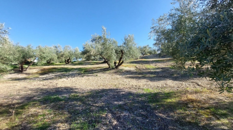 Jaén - Quesada - 33m2