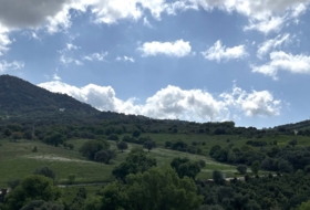 Gaucín 340216&nbsp;m² 