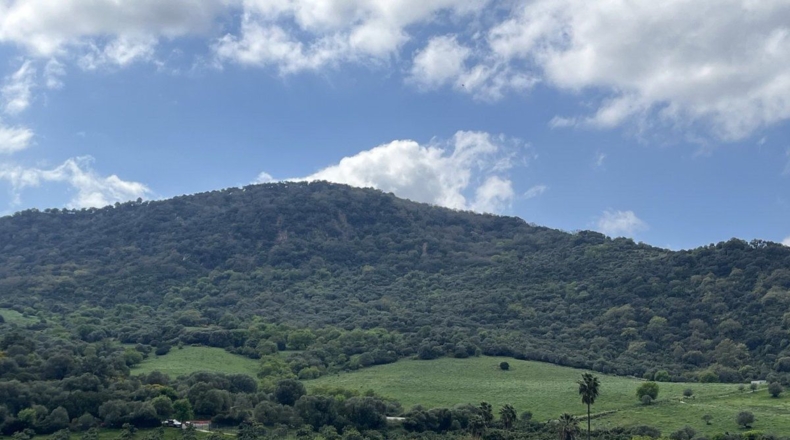Málaga - Gaucín - 340216m2