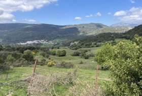 Gaucín 340216&nbsp;m² 