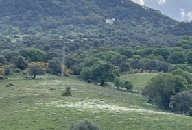 Gaucín 350806&nbsp;m²