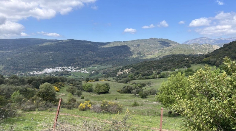 Málaga - Gaucín - 350806m2