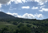 Terreno no urbanizable en venta en Gaucín ref: TR396550 foto