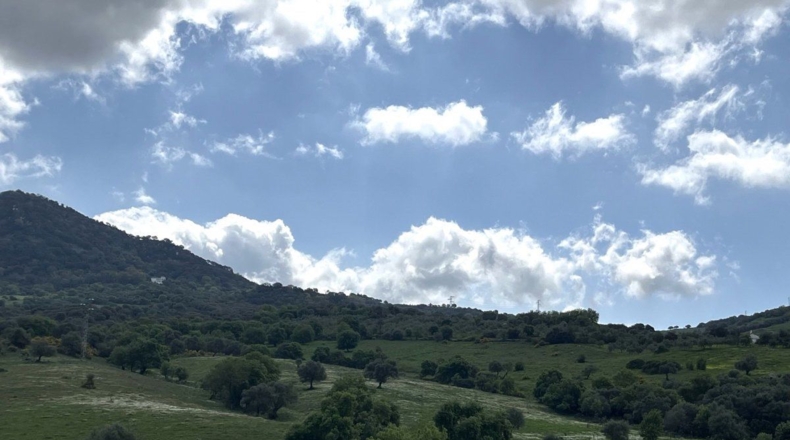 Málaga - Gaucín - 350806m2