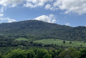 Gaucín 350806&nbsp;m²