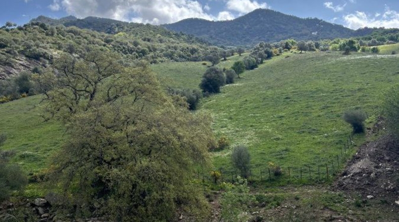 Málaga - Gaucín - 350806m2