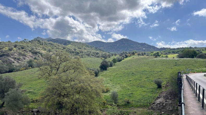 Málaga - Gaucín - 350806m2