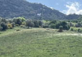Terreno no urbanizable en venta en Gaucín ref: TR396550 foto