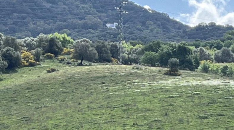 Málaga - Gaucín - 350806m2
