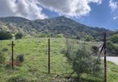 Terreno no urbanizable en venta en Gaucín ref: TR396550 foto
