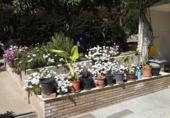 Xalet independent amb terreny en venda a Corbera de Llobregat ref.: TR396526 foto