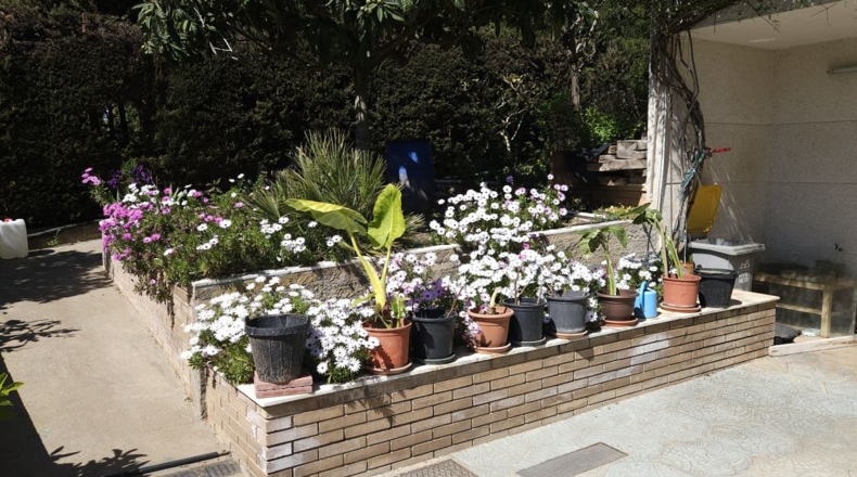 Barcelona - Corbera de Llobregat - 900m2